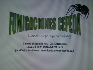 Jose manuel Cepeda Avisos gratis en Mexico lindo en Ramos Arizpe |  CUCARACHAS,HORMIGAS,TERMITA, FUMIGACION,CONTROL, fumigaciones cepeda