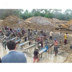 cedric Avisos gratis en Mexico lindo en Palo Alto |  Disponible metal  DE ORO, CEDRIC1