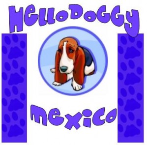  Avisos gratis en Mexico lindo en Guadalajara |  Cachorritos LEG&iacute;TIMOS la raza que ud busca !!!, HELLO DOGGY ofrece los mejores cachorros leg&iacute;timos