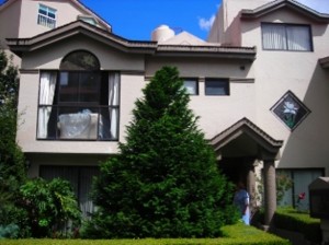 Vetro Impulsores Inm Avisos gratis en Mexico lindo en Cuajimalpa de Morelos |  VENTA DE CASA EN CONDOMINIO, LUJOSA, AMPLIA, BUEN PRECIO, CASA EN CONDOMINIO HORIZONTAL CUAJIMALPA, PLUSVALIA Y LUJO